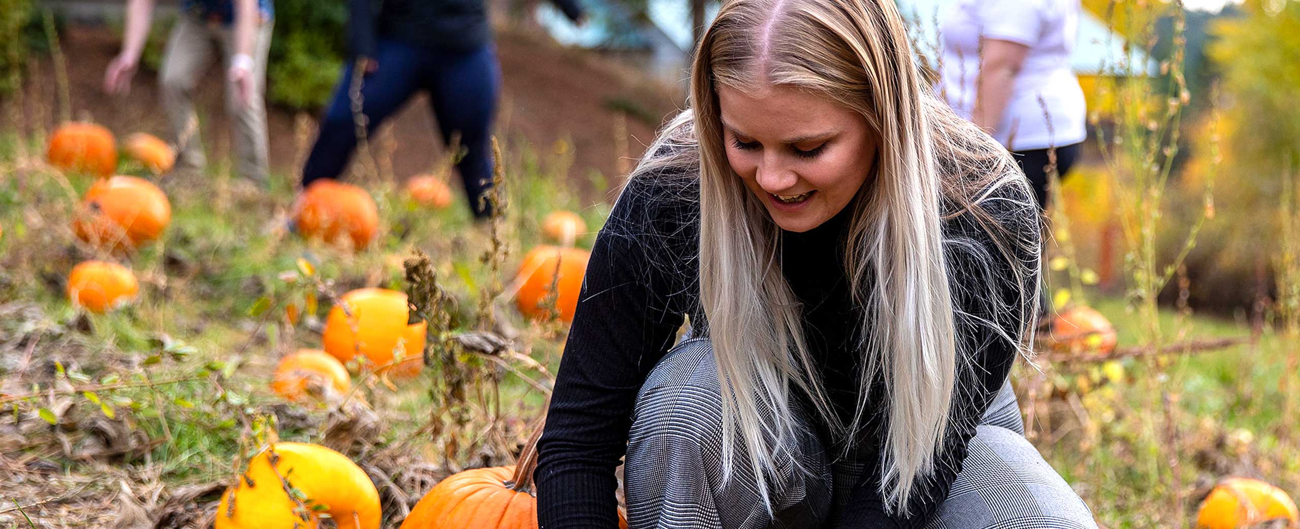 Fall family fun fest picking a pumpkin