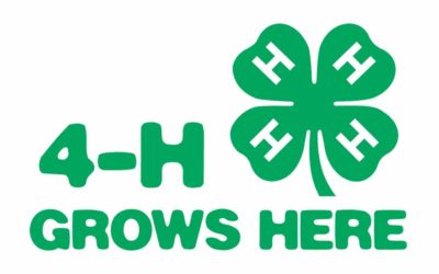 Experience the Ultimate STEM Adventure with Twinlow Camp’s Newest Partnership with 4-H