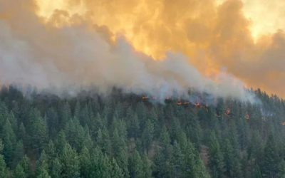 Supporting Spokane County During Wildfires: Extend a Helping Hand with Your Donation
