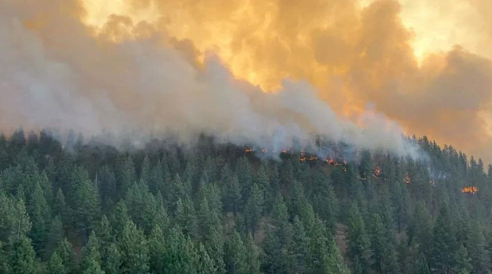 Wildfires ravaging Spokane County: Community support and relief efforts in focus.